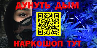 индика Можайск