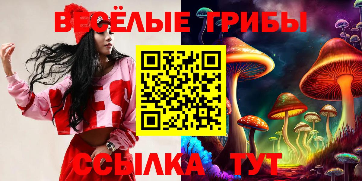 Псилоцибиновые грибы GOLDEN TEACHER Грязи